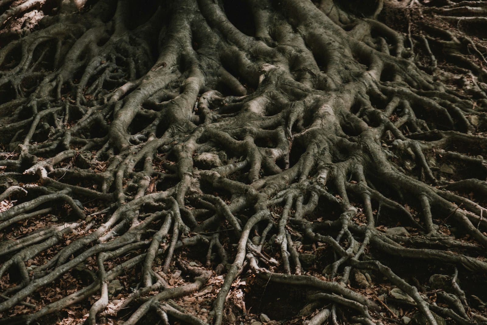 The Composition Root Pattern in SwiftUI Apps